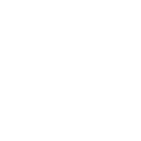ZEUS PLANNING